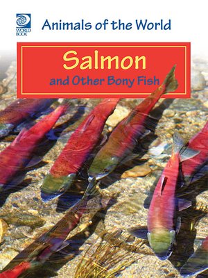 cover image of Salmon and Other Bony Fish